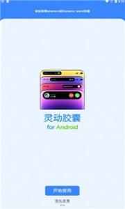 灵动胶囊