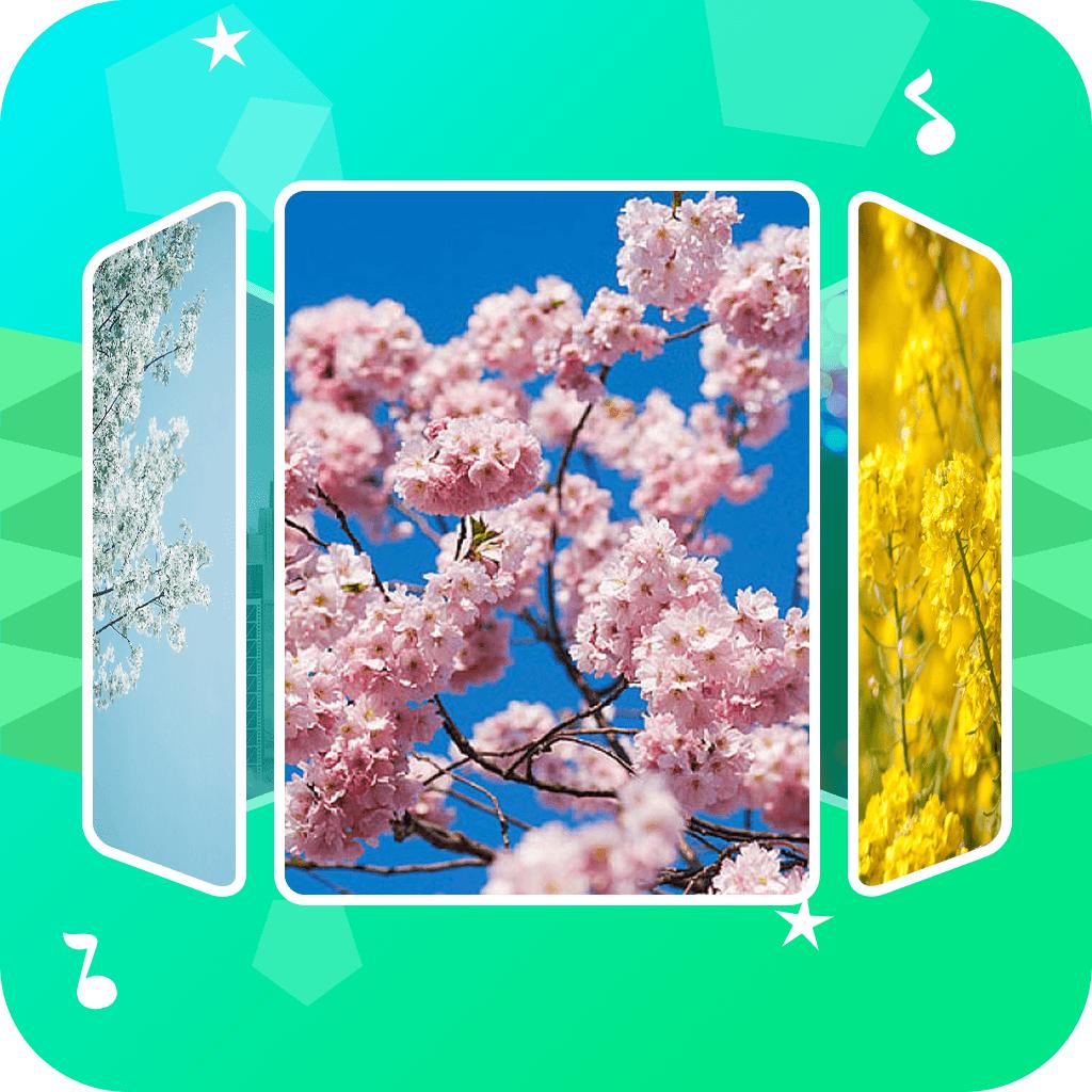 音乐相册助手