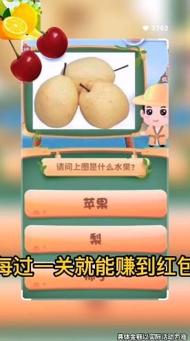 急速猜水果截图2