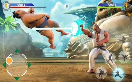 Day of Fighters