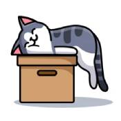 解忧小猫咪ios版