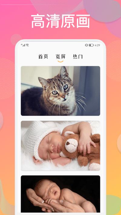 炫彩贴贴.jpg