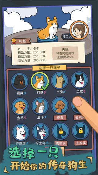 狗生模拟器游戏官方版截图1