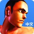 中国功夫拳