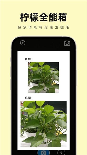 柠檬全能箱