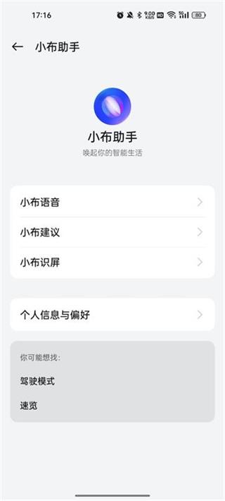 小布指令