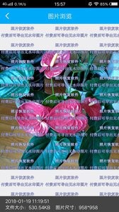 照片恢复软件  v1.02