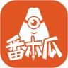 番木瓜