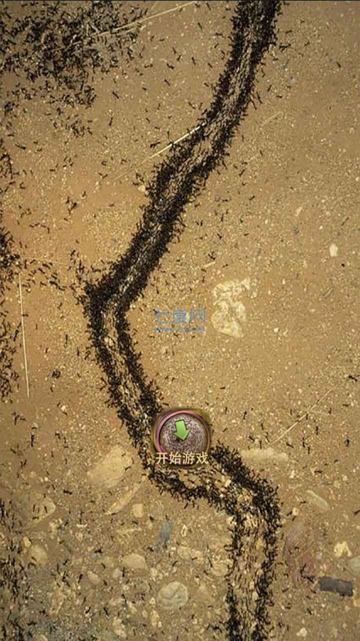 地下蚁国免费手机版