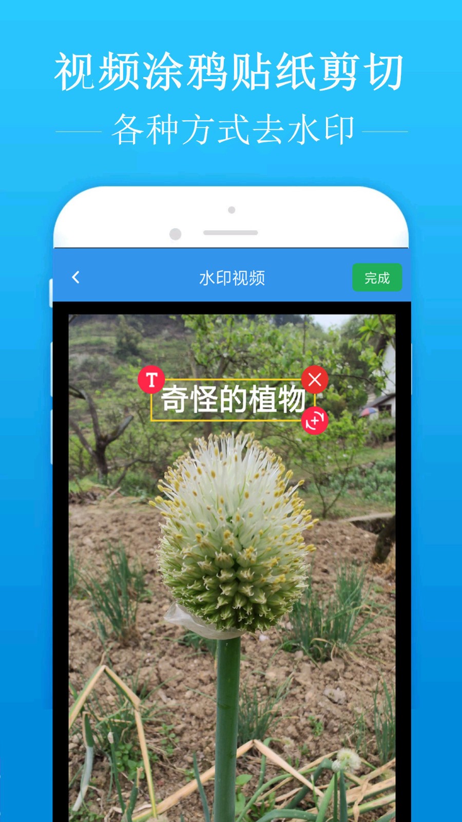去水印吧.jpg