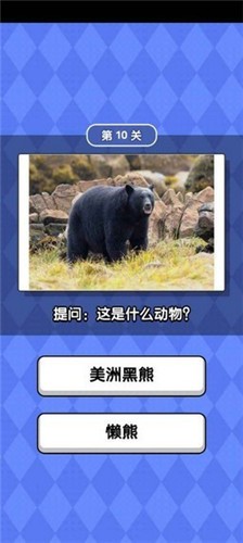 1640938856176956.jpg