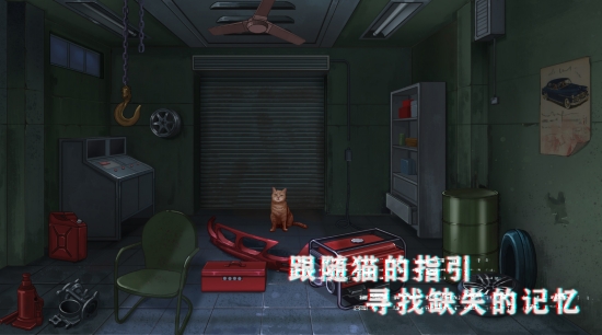 密室与猫.jpg