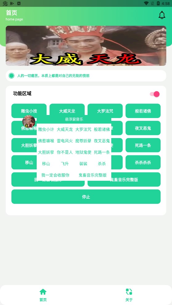 大威天龙盒截图2