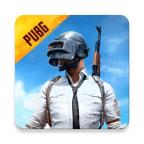 pubg国际服官网版