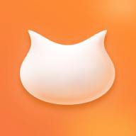 飞猫盘