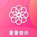 墨墨壁纸