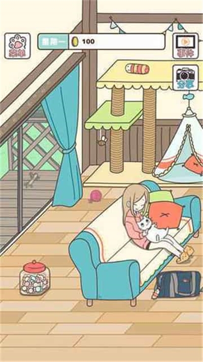 猫咪饲养日常最新版