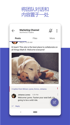 MicrosoftTeams