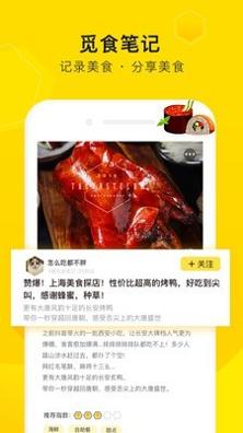 觅食蜂.jpg