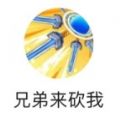 兄弟来砍我