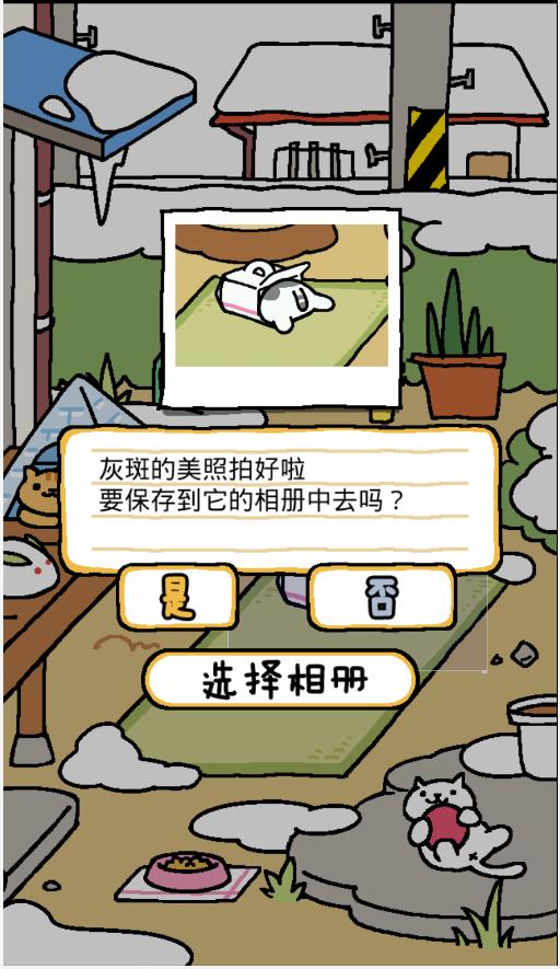 猫咪后院 3DM汉化版截图2