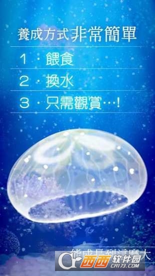 ellyfish Aquarium Free水母游戏 v4.4安卓版