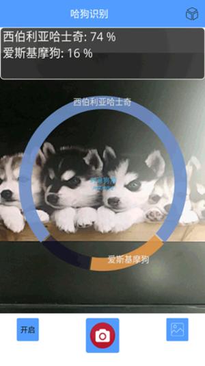 哈狗识别 版本：v1.0