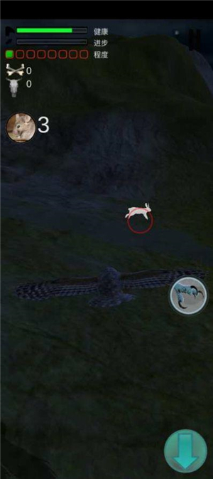 猫头鹰狩猎之旅 v1.121