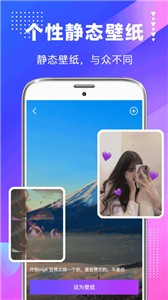 壁纸主题截图0