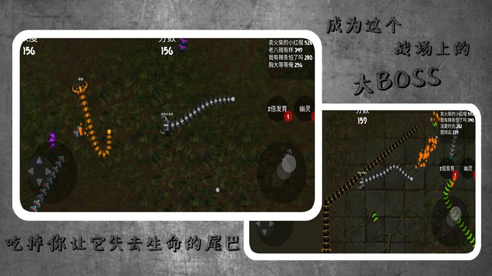 蛇蛇进化作战截图0