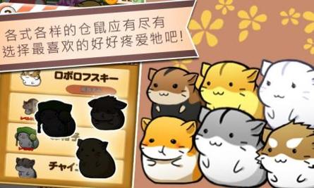 仓鼠的日常 旧版 v3.0.5