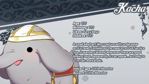 全面服务 2024-06-25 15:08