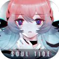 灵魂潮汐wiki下载