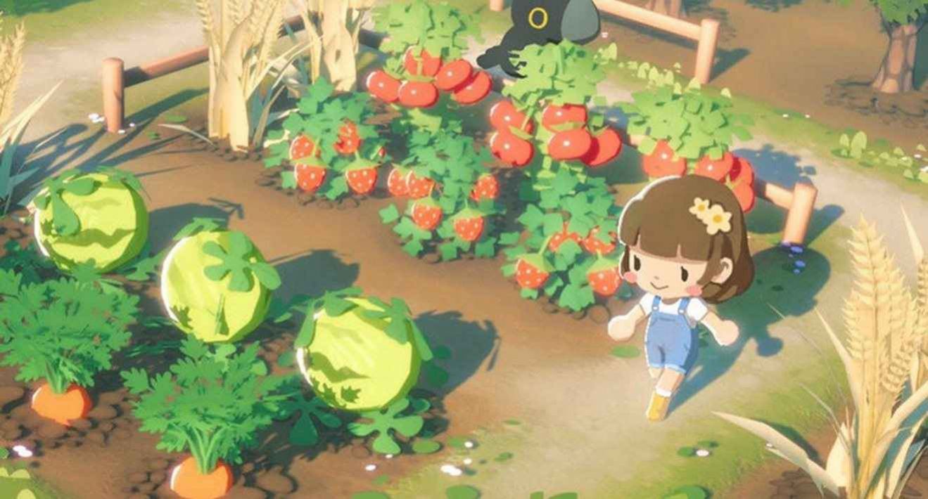 puffpals island skies游戏2022下载官方最新版 截图2