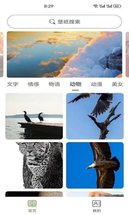 白叶壁纸软件免费版 截图0