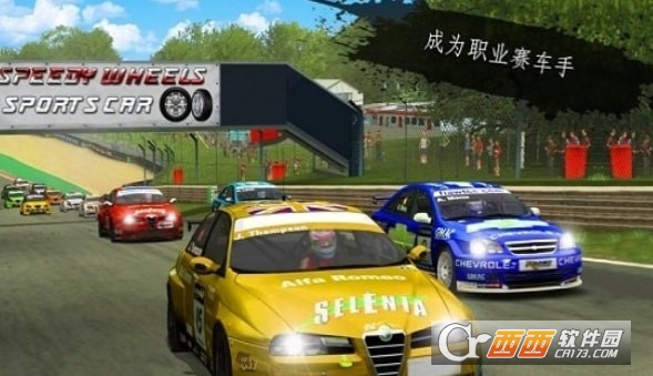 拉力赛狂怒 v1.0.4