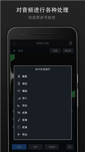 打击垫大师专业版