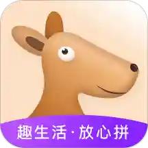 趣拼乐购 