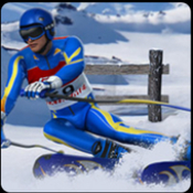 下坡滑雪Downhill Ski