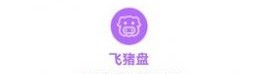 飞猪盘