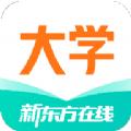 新东方大学考试