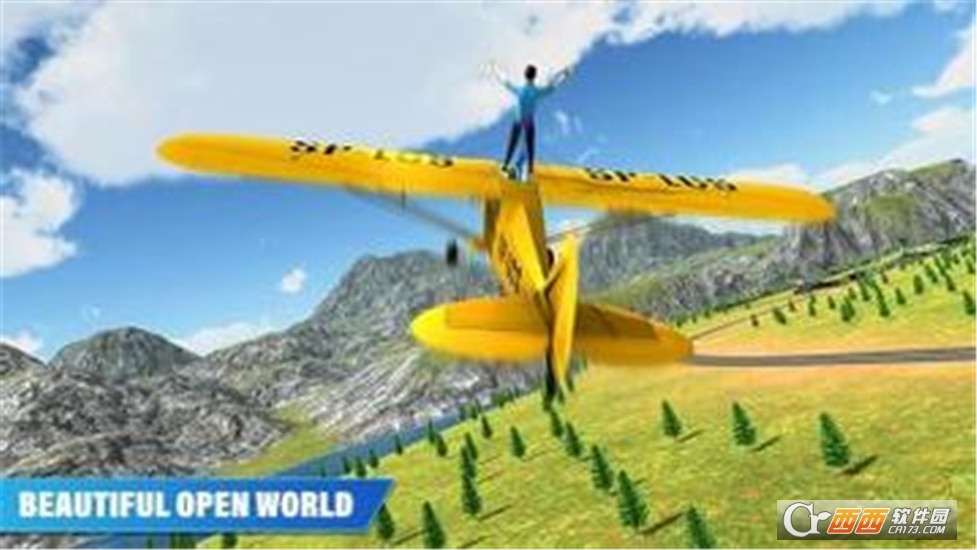 Flight Simulator 2019(Flight Simulator2019)截图0