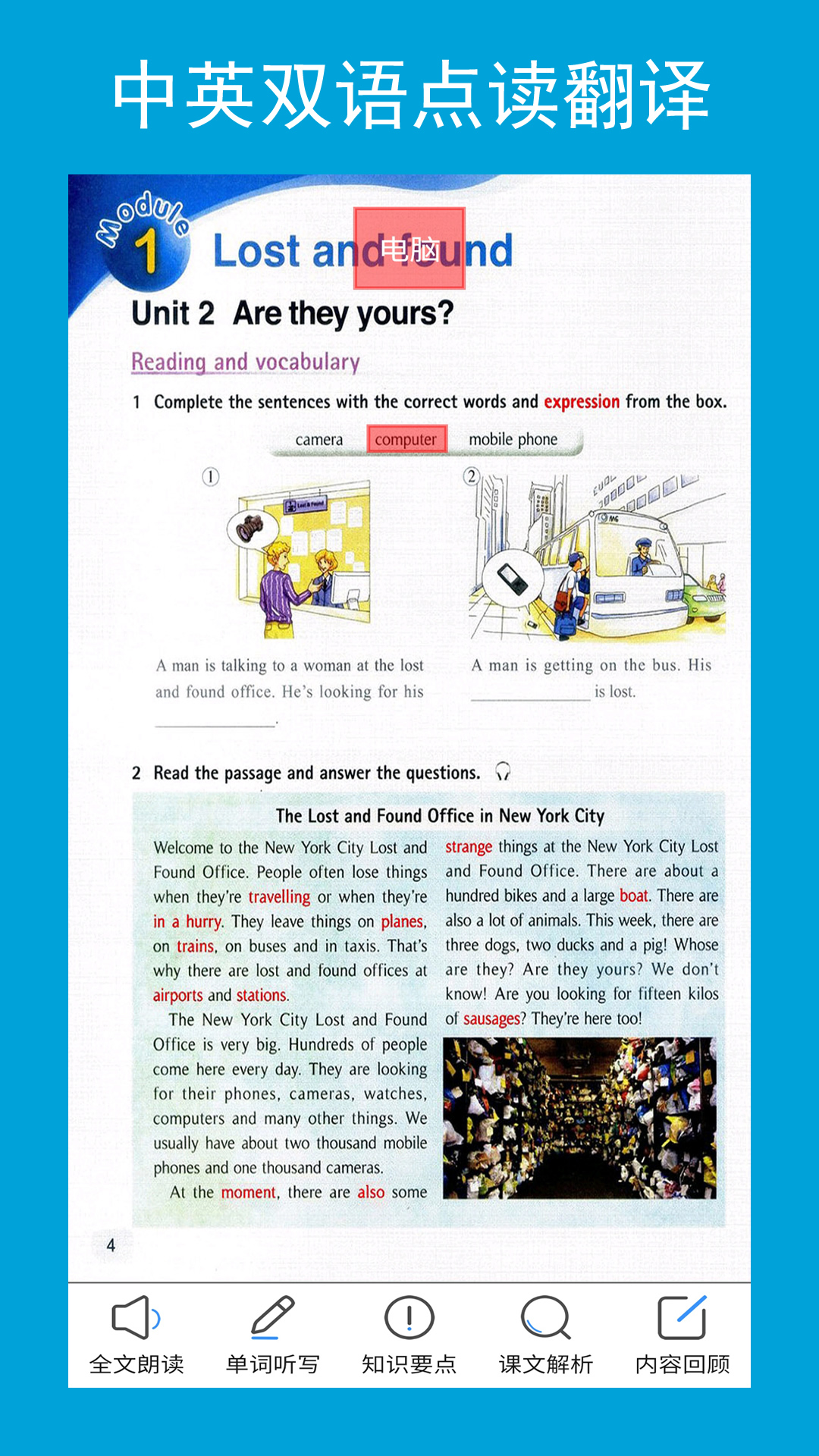 新标准英语七年级下册 v2.0.5
