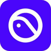 PICO VR