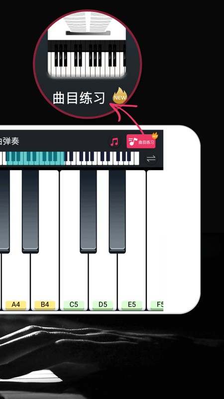 模拟钢琴截图1