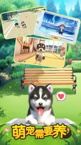 萌宠需要养 v3.0.5