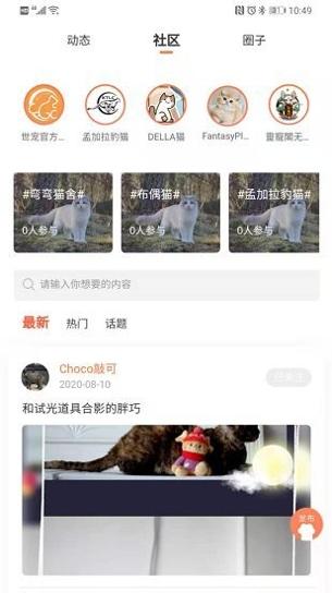 世宠截图0