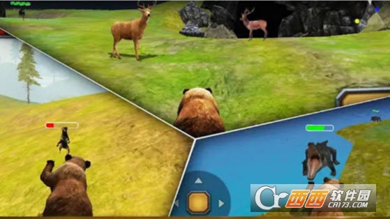 小熊的蜂蜜 v1.00安卓版