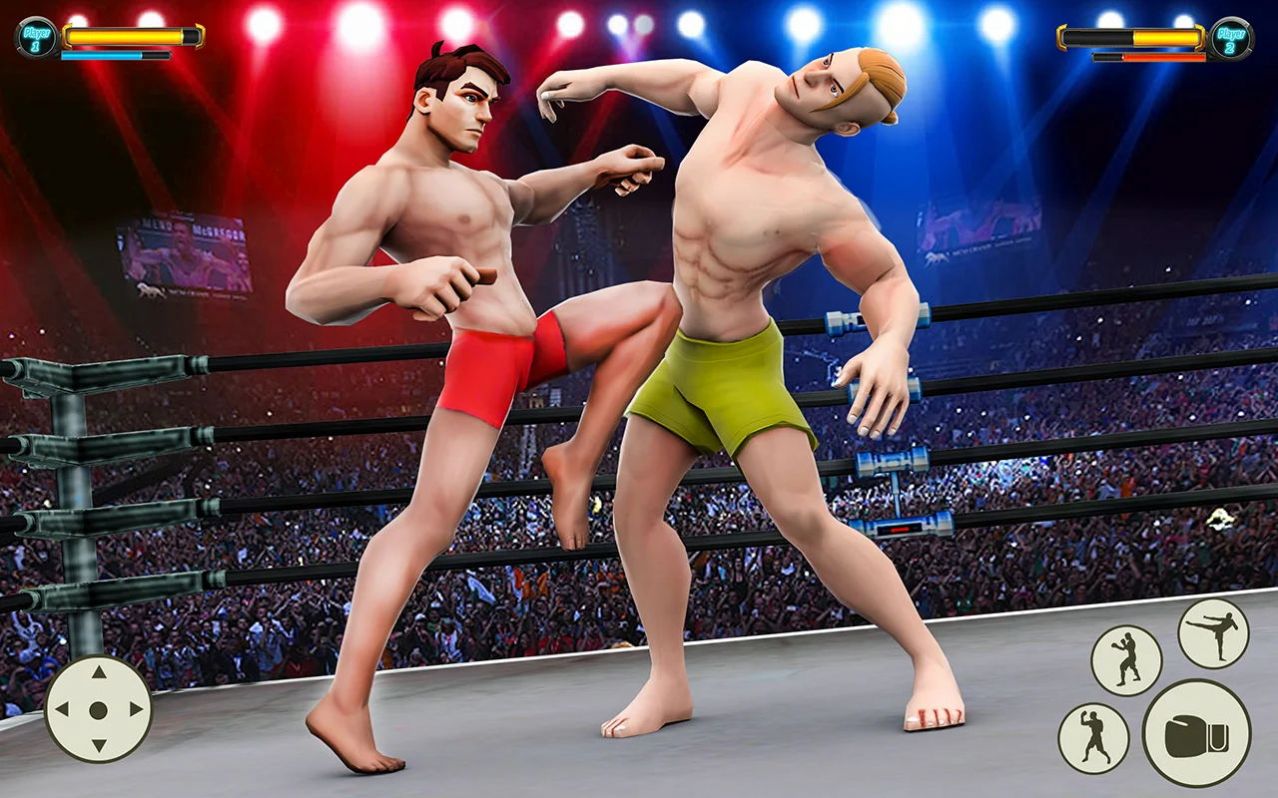 格斗拳击体育馆游戏最新官方版(Grand Robot Ring Fighting Game) 截图2