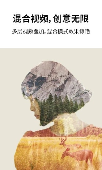 巧影专业版 版本：v4.13.2